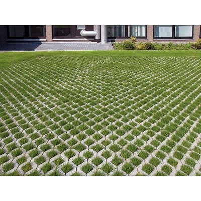 Тротуарна плитка "Еко решітка" Моноліт-Брук Товщина 80мм Тротуарна плитка "Еко решітка" Моноліт-Брук Товщина 80мм