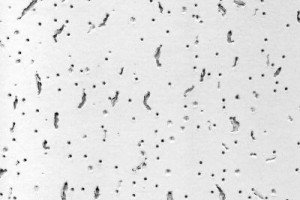 Подвесной потолок