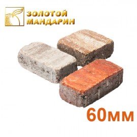 Тротуарна плитка "Плац Антик" Золотий Мандарин Товщина 60мм